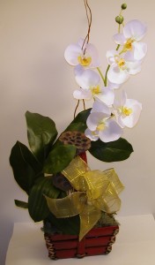 1B. 142 Ontario arrangements