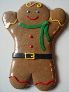 GEDSC DIGITAL CAMERA