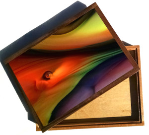 3. Wood Cigar Box w Macro Photo of Glass Art on Metal,