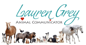 lauren-grey-header-tall